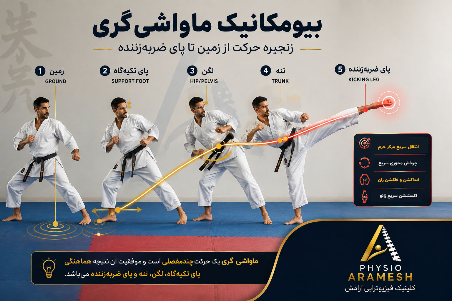 بیومکانیک کاراته